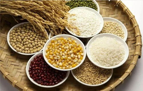 了解钠，孩子饮食中不可或缺的矿物质