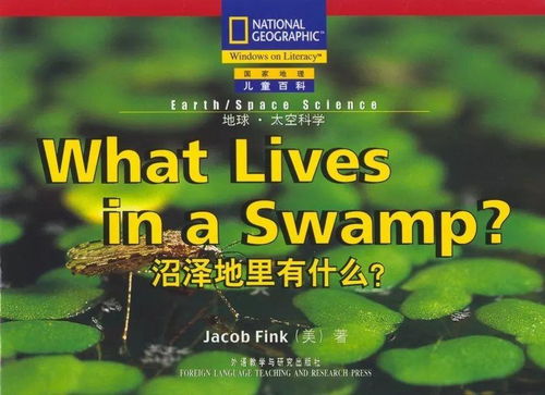 丹的村庄游乐会，在英语环境中培养孩子的社交技能和语言能力