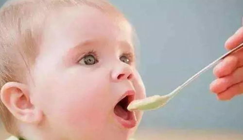 宝宝健康成长，食物营养搭配的科学指南