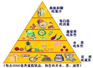 构建健康饮食基础，膳食营养金字塔的最底层