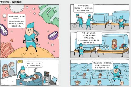 社区幼儿教育，培养未来公民的基石