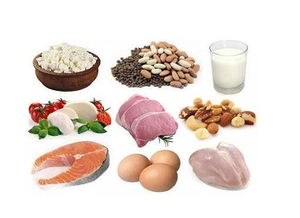 宝宝健康成长的基石，全面解析食物营养结构图