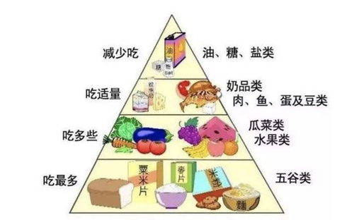 营养均衡，如何使用食品营养成分计算表规划孩子的一日三餐