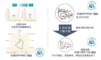 中国食物营养成分全解析，为孩子健康成长保驾护航