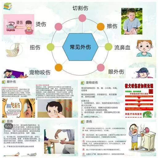 营养宝库，如何使用软件查询食物营养成分，为孩子健康成长保驾护航