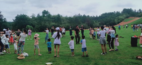 亲子游新体验，农村旅游攻略与育儿智慧