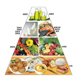 构建孩子健康饮食的基石，饮食营养金字塔