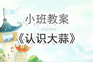 小班玩一玩，探索游戏在幼儿教育中的价值与反思