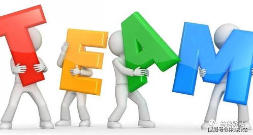 企业成长语录，育儿专家视角下的领导力与团队发展