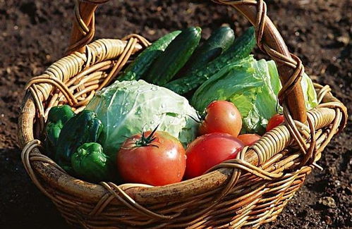 宝宝健康成长，食物营养与科学配餐指南