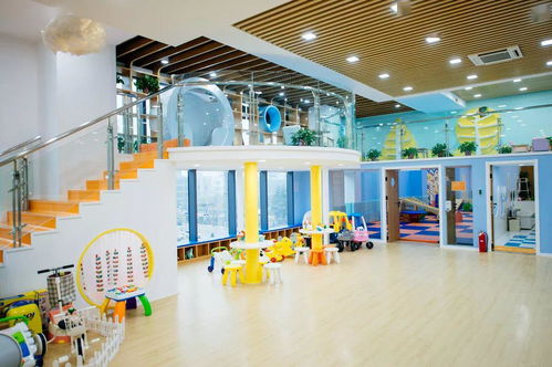 加盟玩具店，开启亲子教育与商业成功的双重旅程