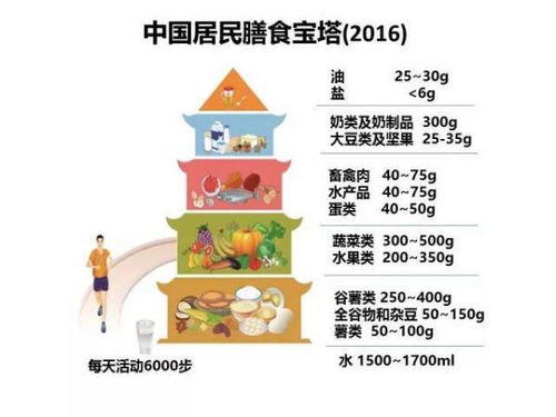营养计算指南，如何为孩子的饮食健康把关