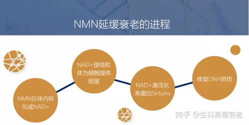 企业成长的基础，管理学在育儿中的应用