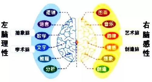 关注孩子成长的三个关键方面，情感、认知与社交能力