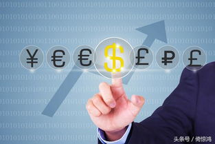 探索成长阶段行业的特点，机遇与挑战并存