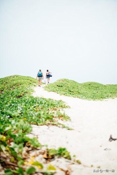 如何为孩子制定全面的成长规划