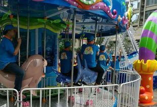 大型游乐项目摇头摆尾，亲子游乐的安全指南