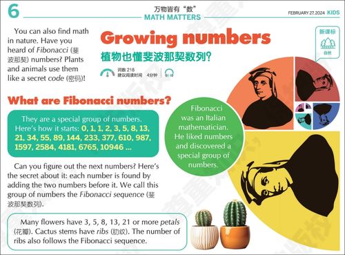 探索世界，如何通过游览活动提升孩子的英语能力