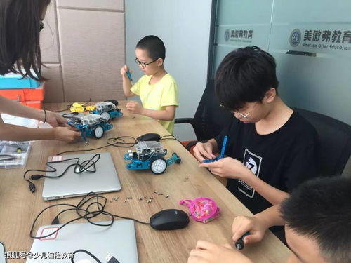 幼儿教育的重要性，塑造未来的基础