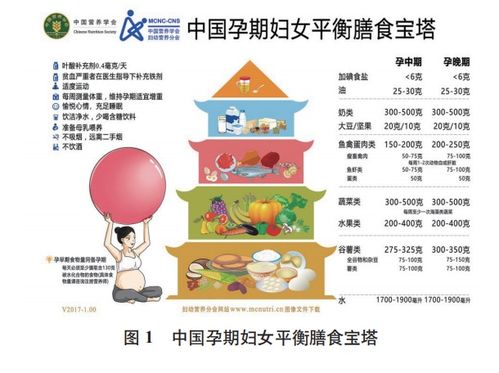 宝宝健康成长的基石，食物的营养成分及功能解析