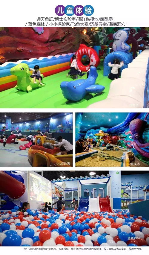 新奇特游乐项目，如何安全地融入儿童成长体验