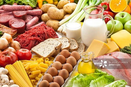 食物营养的价值，为孩子健康成长打下坚实基础