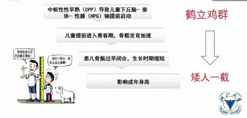 营养表换算卡路里，为孩子健康成长保驾护航