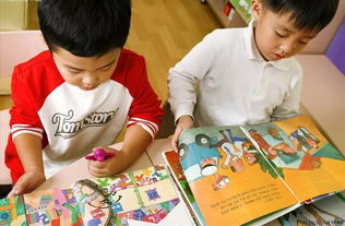 学前教育法律法规培训总结，提升教育质量，保障儿童权益