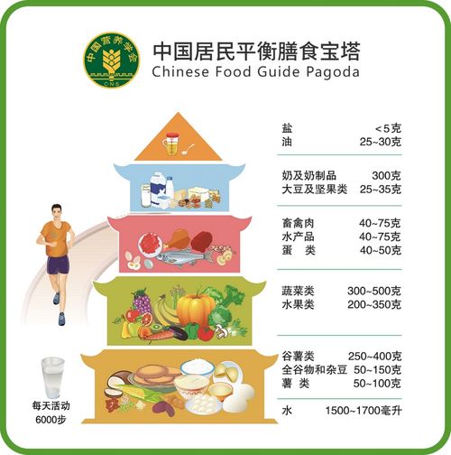 中国居民膳食营养金字塔，构建健康饮食的基石