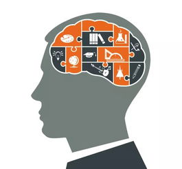 探索成长的奥秘，理解儿童发展的关键概念