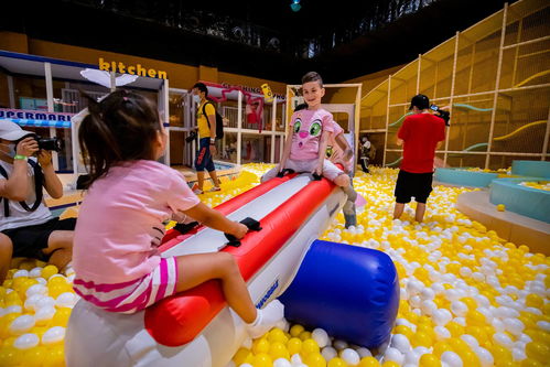 亲子时光，探索适合家庭的休闲玩乐项目