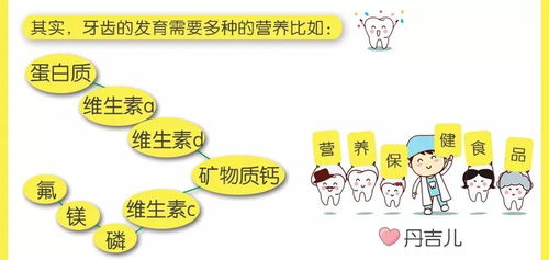 宝宝营养全知道，食物营养成分小报内容详解