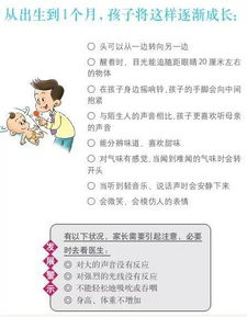 理解孩子成长与发展的基本规律，育儿专家的指南