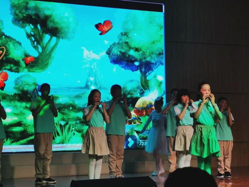 共同成长，父母与孩子之间的语言桥梁