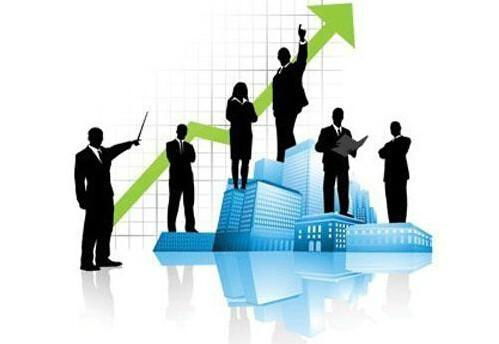 企业成长与育儿，质与量的平衡之道