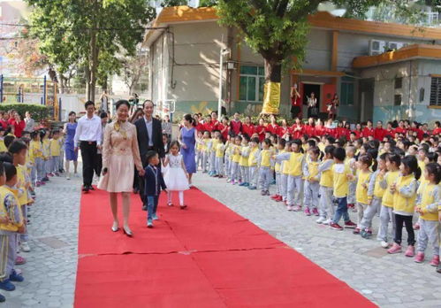 幼儿园社区教育，概念、实践与影响