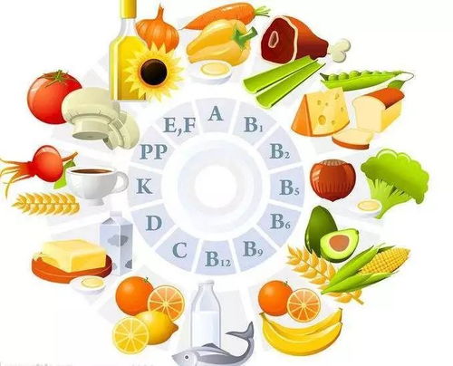 宝宝健康成长的秘密，如何利用食物营养成分表为孩子打造均衡饮食