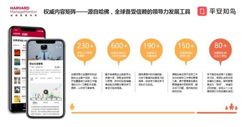 企业成长的关键因素，人才、创新与领导力的融合