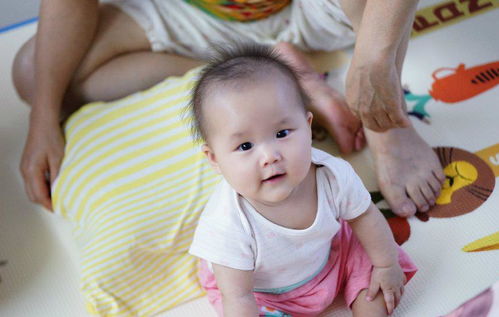 幼儿教育的基石，关键知识和技能的培养