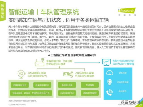 全面关注孩子的发展，关键领域与育儿策略