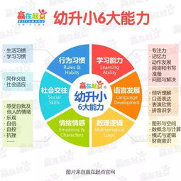 全面关注孩子的发展，关键领域与育儿策略