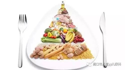 食物营养的价值，为孩子的健康成长打下坚实基础