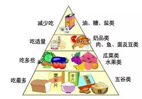 构建健康饮食，人体食物营养金字塔的科学指南