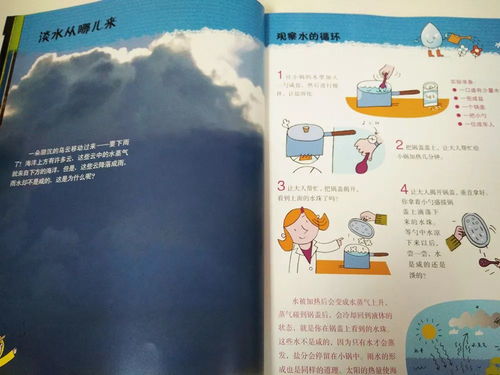 幼儿教学研究杂志，探索幼儿教育的科学与艺术