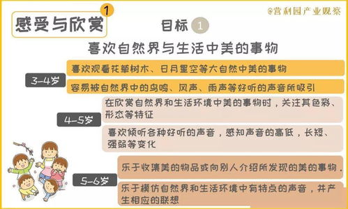 如何通过游戏促进儿童全面发展，育儿专家的实用指南
