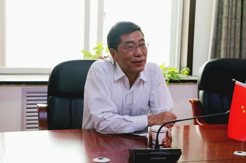 启航未来，幼儿教育书籍的精选指南