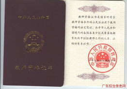 如何成功通过幼师资格证自考，全面指南