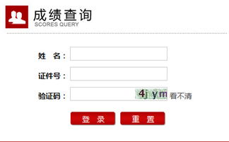 幼儿教师资格证，成绩查询指南与备考策略