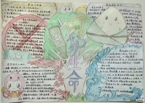 营养均衡，健康成长，为孩子打造合理午餐手抄报