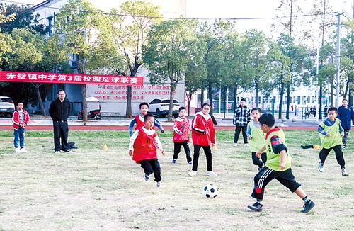 乡村乐趣，探索农村娱乐活动对孩子成长的重要性